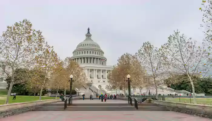 Reasons why you need to add Washington DC to your travel list right now!