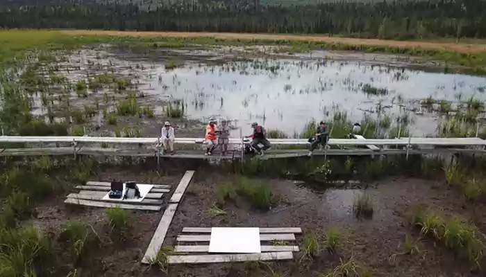 Researchers Discovered Unique Potential Of Arctic Soil; They Can Fight Against Climate Change